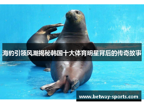 海豹引领风潮揭秘韩国十大体育明星背后的传奇故事